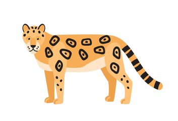 Leopard isolated on white background © Good Studio
