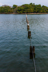 Stakes and Gulls in Japan 