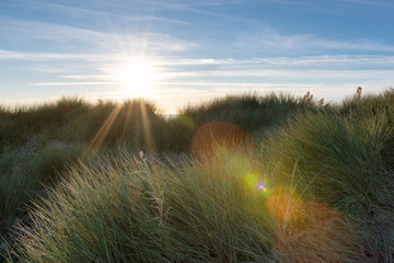 French landscape - Bretagne. Sunset with dunes and grass.