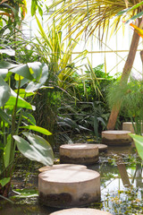 greenhouse garden and walkway on pool - 257435264