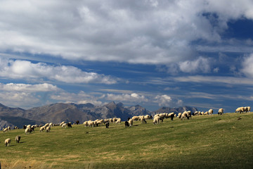 Durmitor, Montenegro