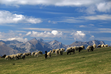 Durmitor, Montenegro