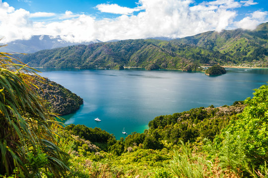 Grove Arm of Queen Charlotte Sound Marlborough Sounds South Island of New Zealand