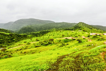 Obraz premium Lush green landscape, trees and foggy mountains in Ayn Khor tourist resort, Salalah, Oman