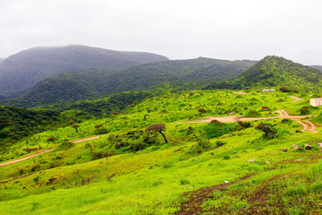 Lush green landscape, trees and foggy mountains in Ayn Khor tourist resort, Salalah, Oman