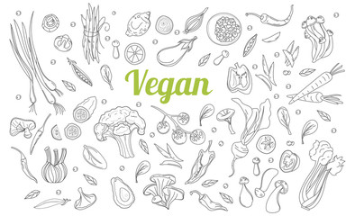 Sketch style. Hand drawn set of healthy food ingredient doodles in vector. Healthy diet vegan food, veggie protein sources.