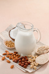 Making vegan milk at home