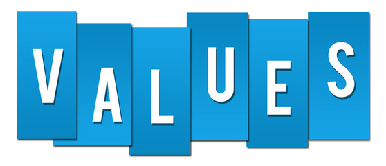 Values Professional Blue 