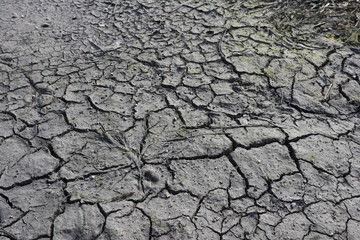 dry ground due to heat