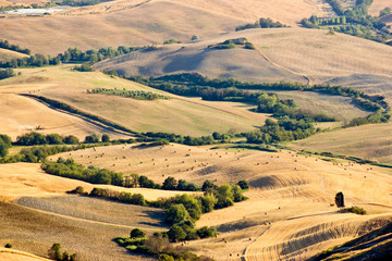 Fototapeta na wymiar view of typical Tuscany landscape in summer, Italy