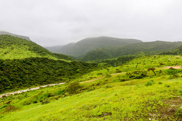 Lush green landscape, trees and foggy mountains in Ayn Khor tourist resort, Salalah, Oman