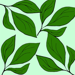 background with leaves