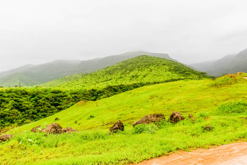 Fototapeta premium Lush green landscape, trees and foggy mountains in Ayn Khor tourist resort, Salalah, Oman
