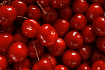Sweet cherries close up