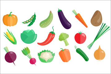 Fresh vegetables big set, healthy vegetarian organic food vector Illustrations on a white background