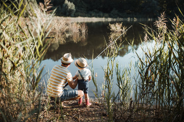 A rear view of mature father with a small toddler son outdoors fishing by a lake.