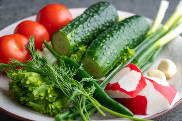 cucumber, tomato, radish, parsley, onion and other vegetables on a plate