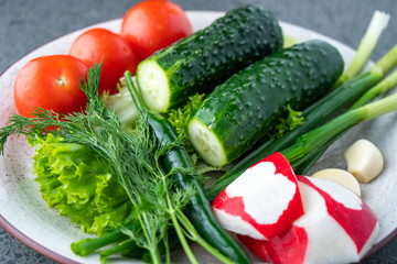 cucumber, tomato, radish, parsley, onion and other vegetables on a plate