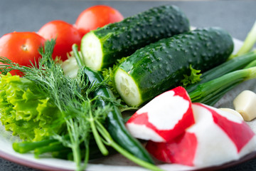 cucumber, tomato, radish, parsley, onion and other vegetables on a plate