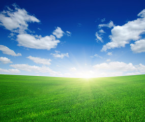 Fototapeta na wymiar Green meadow and sun.