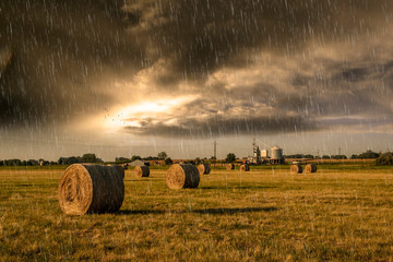 Summer rain at farmland
