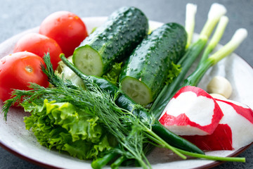 cucumber, tomato, radish, parsley, onion and other vegetables on a plate
