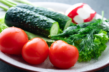 cucumber, tomato, radish, parsley, onion and other vegetables on a plate