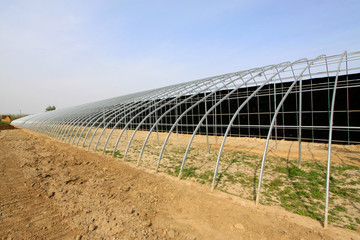 Steel frame for greenhouse