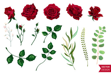 Vector Roses Wedding Invitation Card for Design 01 - obrazy, fototapety, plakaty