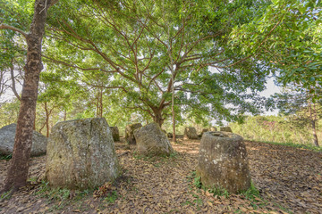 The Plain of Jars site 3 sits on a scenic hillside in pretty woodland near the village of Ban Lat Khai, Phonsavan, Xieng Khouang Province.