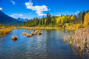 Indian summer in the mountains