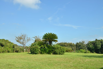 大崎公園　神奈川県逗子市の風景　日本