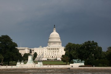 Fototapeta premium united states capitol building in washington dc, washington, capitol, building, congress, dc, capital, government, usa, architecture, us, house, senate, white, politics, democracy, hill, landmark,