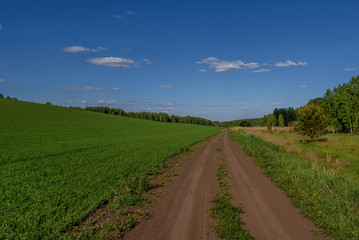 Fototapeta na wymiar field oats road agriculture