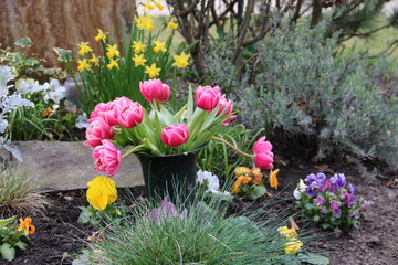 Tulpen auf dem Friedhof schmücken ein Grab 