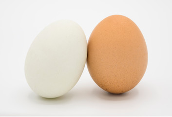 Isolated of chicken egg and duck egg on white background.-Image.