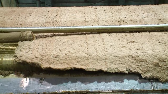 Pulp production. Washing and bleaching of wood pulp.  Production of offset white paper.  Washing of coniferous pulp 