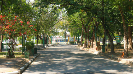 Fototapeta premium public park