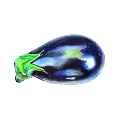 Hand drawn bright fresh blue eggplant isolated on white background