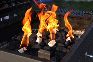 Barbecue with grill lighter