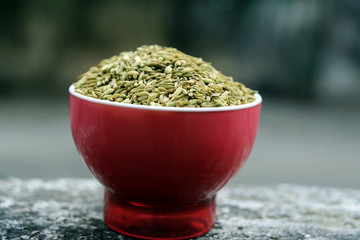 Fototapeta na wymiar Fennel Seeds or Roasted saunf in a bowl, selective focus