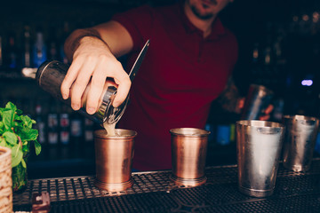 Waiter serving Hot Grilled Skewers chicken beef fillet meat with Fresh arugula Cabbage salad With mustard at restaurant, close up view. Selective focus. Design Gourmet and luxury concept service