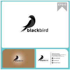 black bird logo