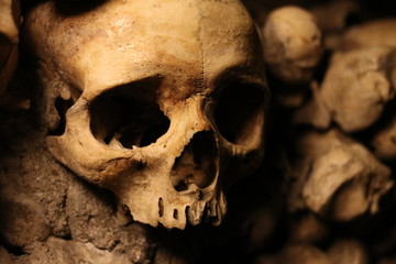 Paris Catacombs