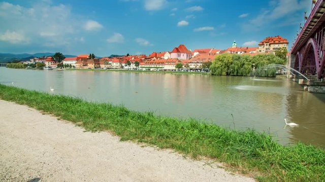 It's a beautiful summer day in the city of Maribor. The day is nice and sunny and swans are swimming in a big river.