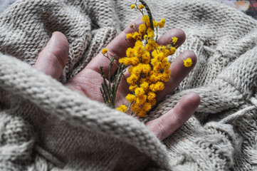 hands of a person with knitting and flower 