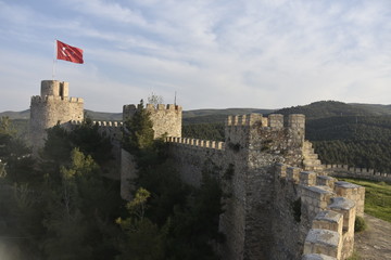Castle and Flag
