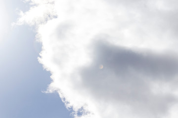 White and grey colors. Copy space. Place for text