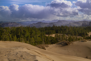 Oregon clouds view forest sand hemlock Forest Pine Forest Summer day adventure hiking travel exploring freedom Oregon west coast 
