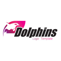 vector dolphins logo with rainbow color